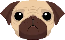 pug technology