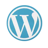 wordpress designing & development